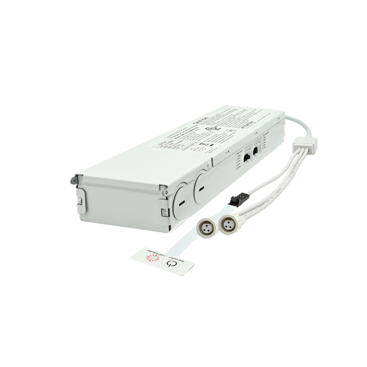 Box Less Light Canless J-Box Downlight, 6